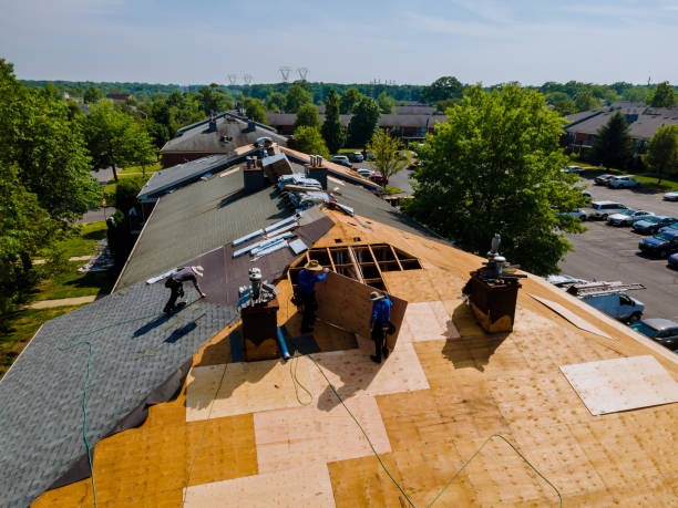 Best Storm Damage Roof Repair  in Poquoson, VA