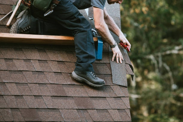 Best Roof Gutter Cleaning  in Poquoson, VA